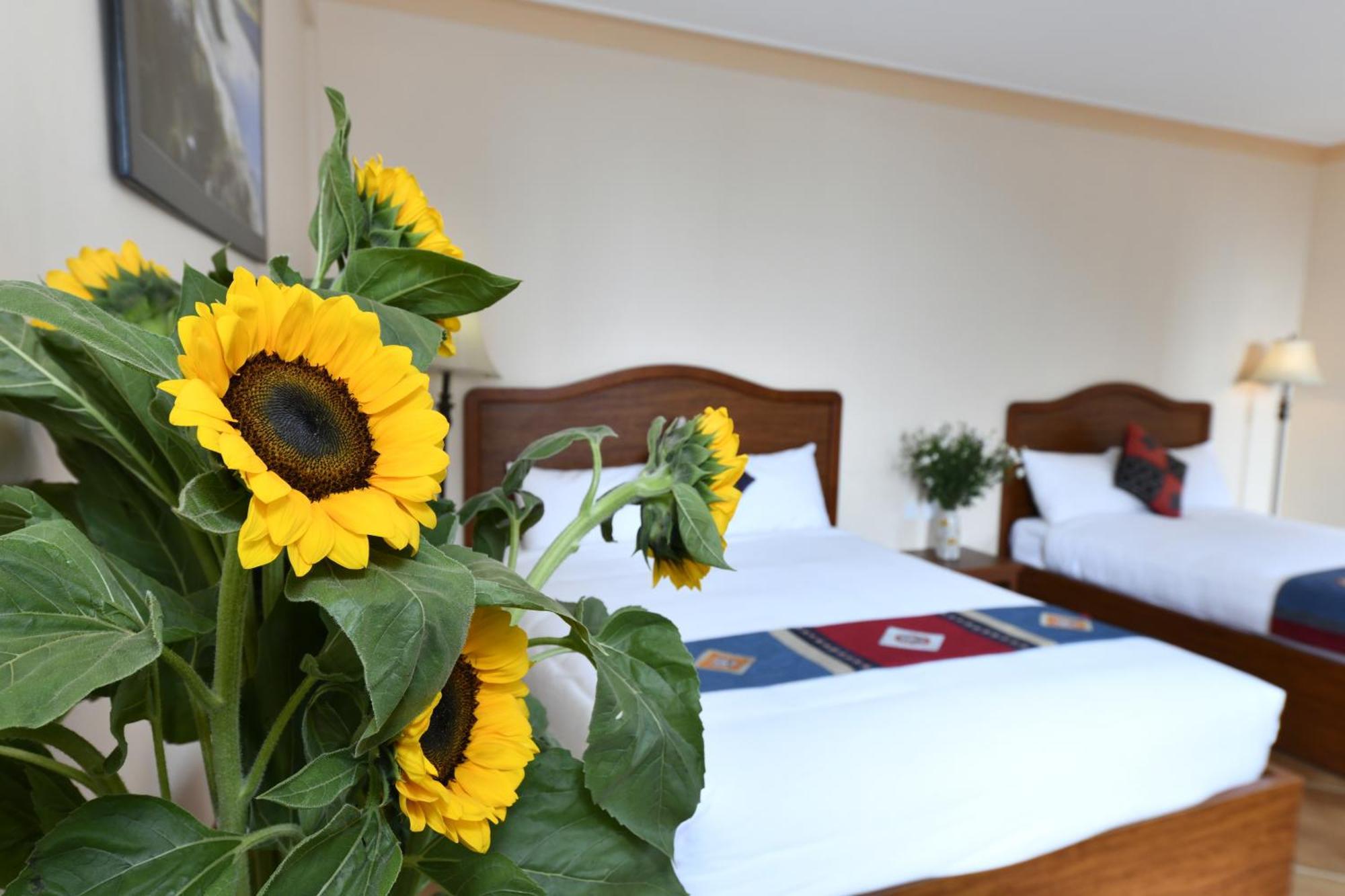 Sapa Symphony Hotel Dış mekan fotoğraf